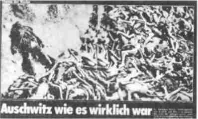 Typhus - Tote von Bergen Belsen, f�lschlicherweise als Tote von Auschwitz angegeben