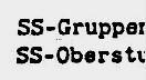 Auszug aus der von Kempner "gefundenen" Version