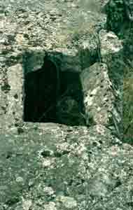 Photograph 10