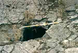 Photograph 13