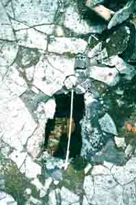Photograph 15