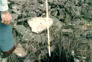 Photograph 21