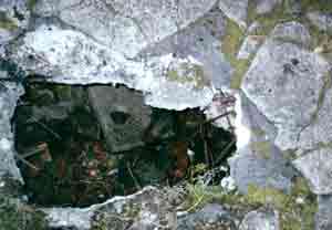 Photograph 26