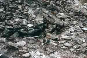 Photograph 28