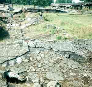 Photograph 3