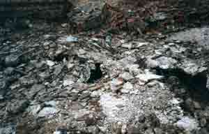 Photograph 31