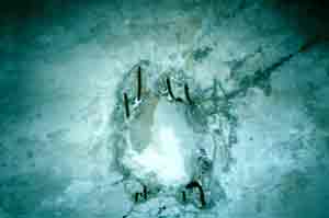 Photograph 32