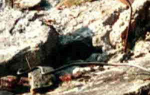 Photograph 7