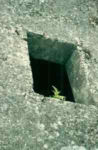 Photograph 9