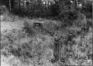 Document 47. General view, looking roughly south-north, of the ruins of the Krematorium III