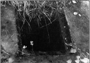 Document 44. Entrance to the Leichenkeller 1 (gas chamber) sewer manhole