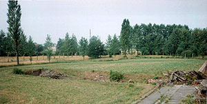 Leichenkeller 1 of Krema II  in 1992
