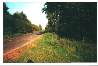 7. Carlo  Mattogno fotografia dell'agosto 2000