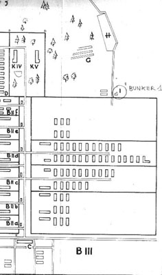 8. Pianta di Birkenau