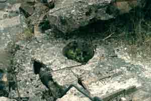 Fotografia  8 